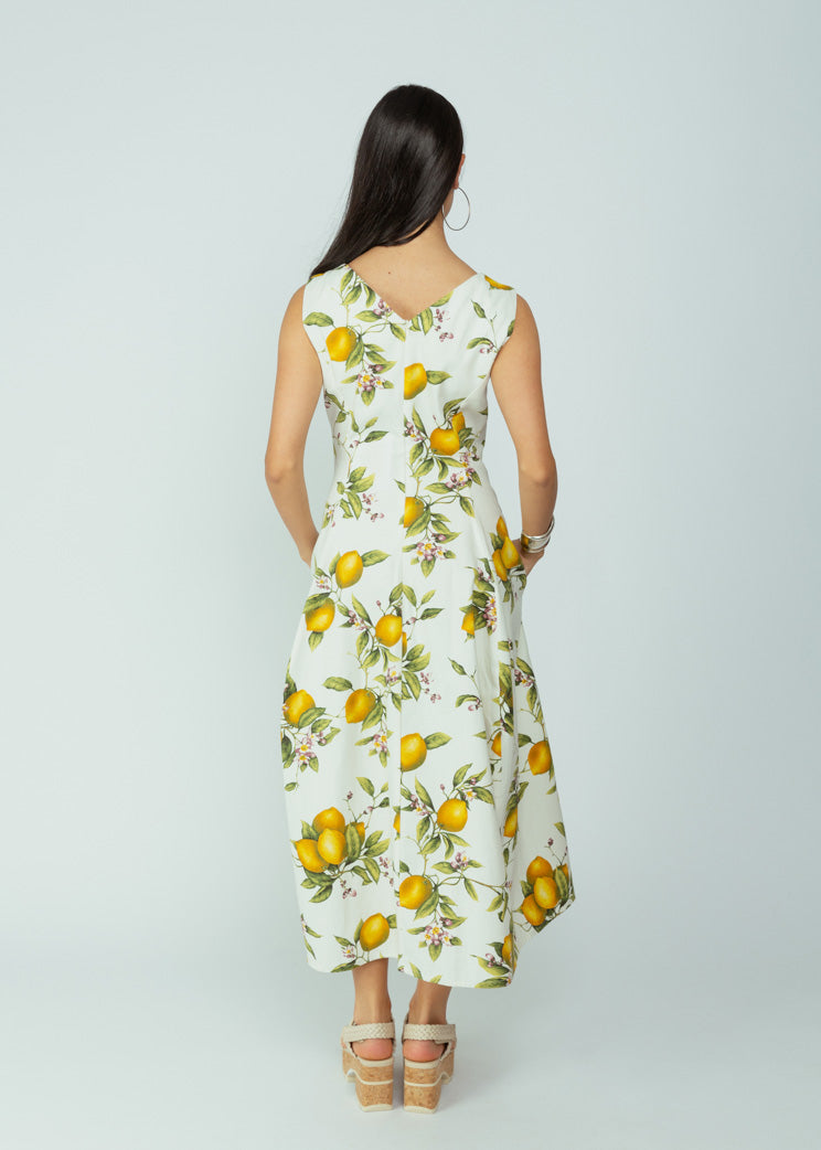 Laboratorio Lemon Parvati Dress