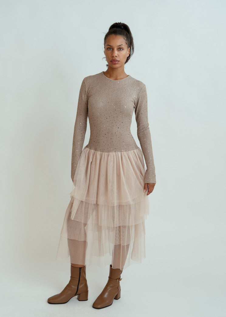 Rentrayage Sequin Tulle Eva Dress